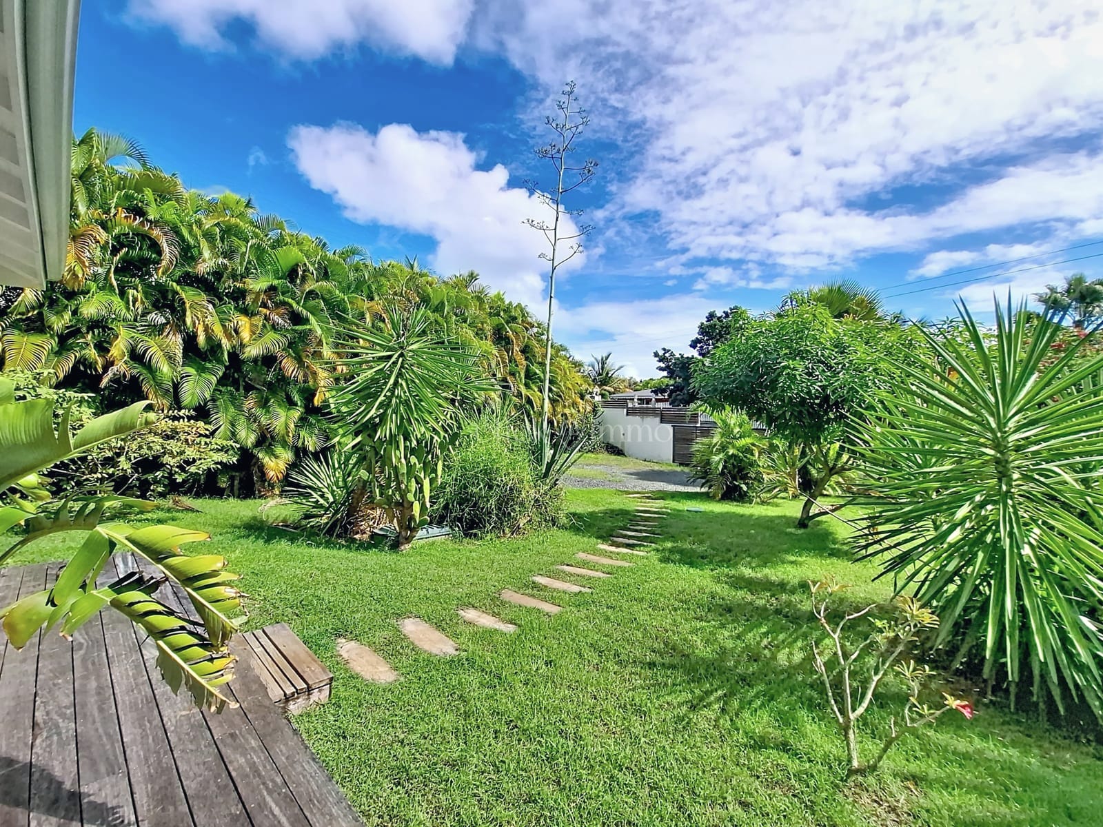 Le jardin tropical — Villa Alizéa