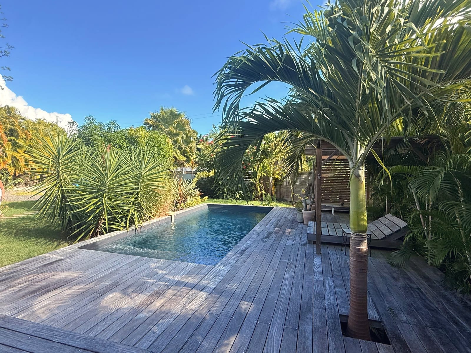 La piscine et son deck — Villa Alizéa